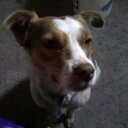 olga rivero - @olgariveroa - Twitter