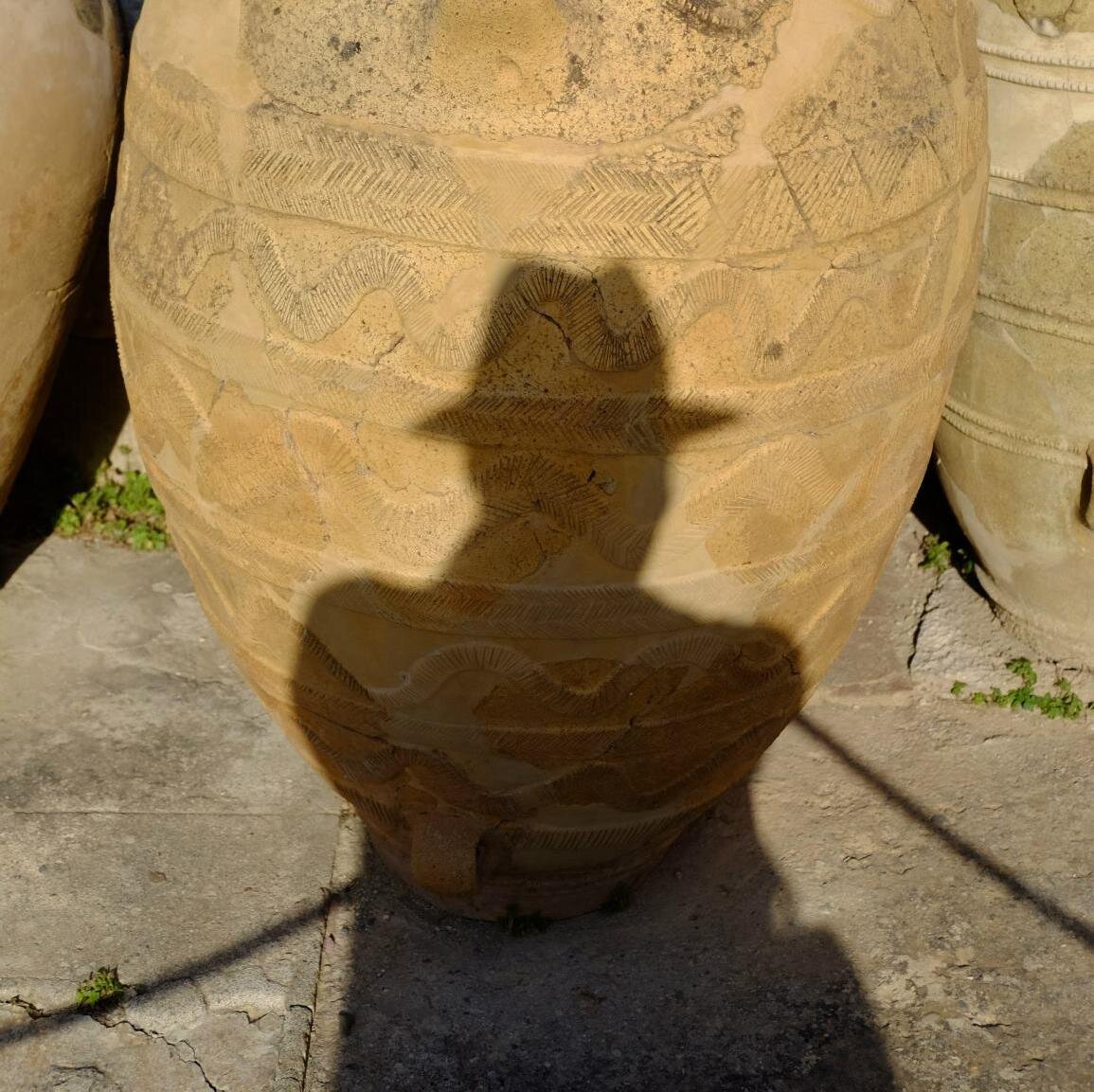 aditzel's profile picture. Professional Nerd. I also Tango.