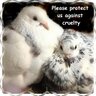 PigeonFriend's profile picture. Pigeon rescuer and advocate. Pigeons are not dirty and diseased. That's humans. Never believe everything you read on the internet. Pigeons taught me that.