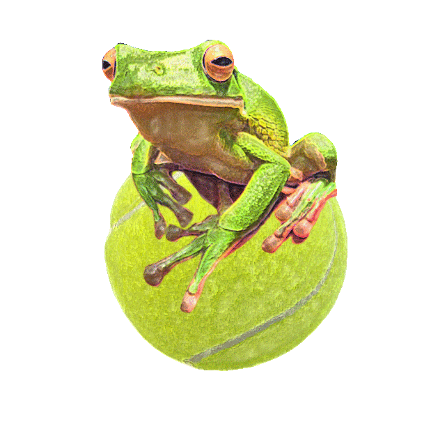 Web Sites for Teaching Pros and Team Captains. Blogs for Clubs and Leagues. Tennis on a Different Level @ our blog - I Toad You So - http://t.co/0vVrgIJqot.