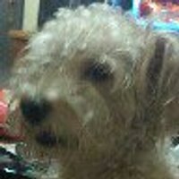 Jim Home (@jimsu1967) 's Twitter Profile