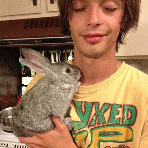 rabbit guardian flesh mold