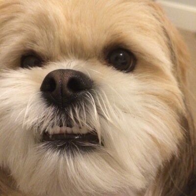 KCdadBOT's profile picture. 