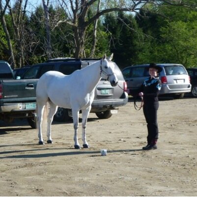 Just another equestrian from vt