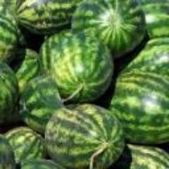 карточные игры , Просмотр телепередач