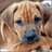 JulioParker6's profile image