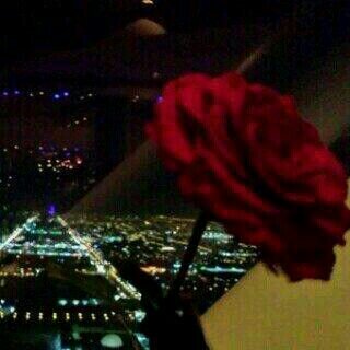~ ‏تغريداتي جُزء صآدَق ؛ وجُزَء غآمضَ ؛ ۆجزٌءَ من ذوقِي ؛ ۆجزء يسَتحيل آنْ يفھَمهَ غيّري،