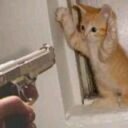 Ken Blumenthal - @KenBlumenthal - Twitter