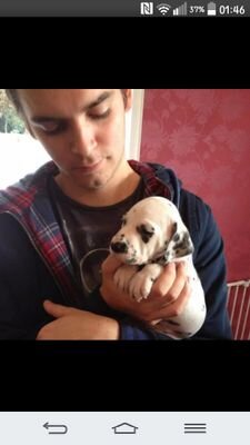 WhyAlwaysAdam's profile picture. It's just a laugh a minute. So give it an hour.