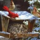 Brian Marquez - @BrianMa97253786 - Twitter