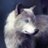 Michael10889803's profile image