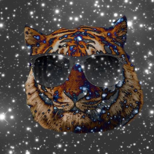_BengALL Profile Picture