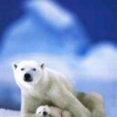 CaseyHearshman's profile picture. Стрелочник, Мозаика