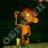 TomJord38976709's profile image