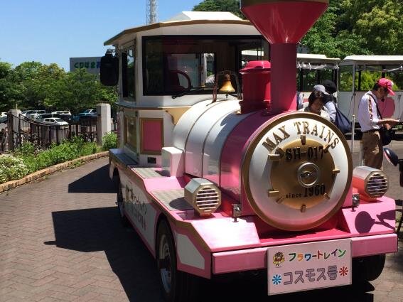 久里浜生まれ、久里浜育ち。からの三浦市在住。
横須賀も三浦も好きだから、
陰ながら勝手に活性化を応援。