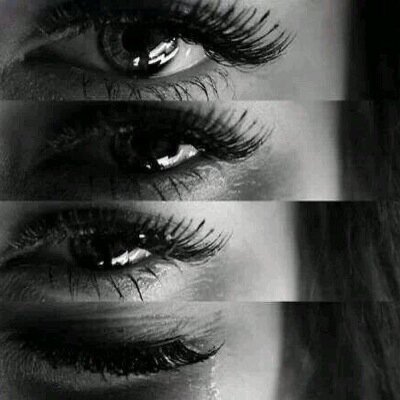 Yengordo's profile picture. 16~Soy otra victima del desague de la humanidad~ A:160, PI:69, PA:67, M1:60, M2:54 MF:49.