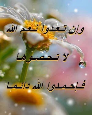 ‏‏‏خريجة/ كلية الخدمة الإجتماعية /وعاطلة عن مزاولة مهنتي