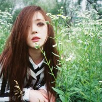 choi Jin-ri (@sullsullie) 's Twitter Profile