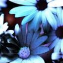 Daniel Rigsby - @DanielRigsby5 - Twitter