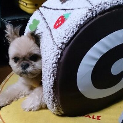 SYANHAIQ's profile image