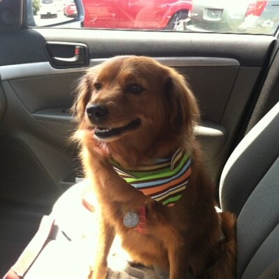 FranDunne1's profile picture. 