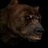 BereniceMunoz15's profile image