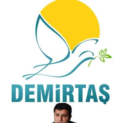 SaribrahimReber's profile picture. Yaşasın renklerin kardeşliği