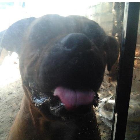 Winny12zc's profile picture. 