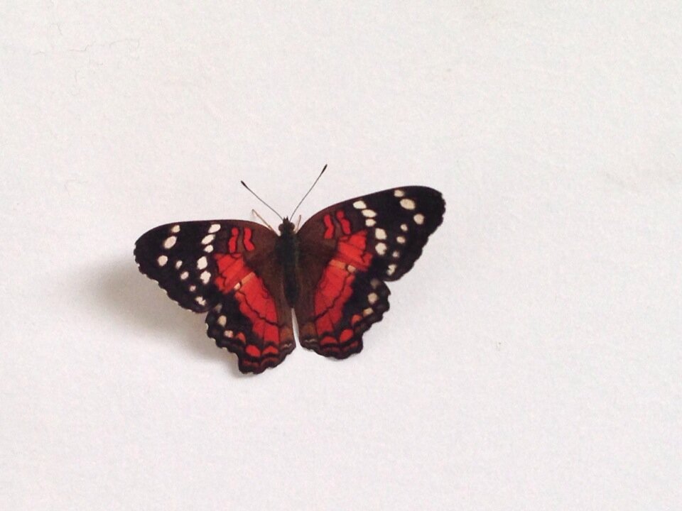 SubUrbanoMJ's profile picture. Programa alternativo de la emisora virtual Radioamiga Internacional. 
Conduce @leandrosabogal y @Rayuelali Poesía, música y muy buenos invitados.