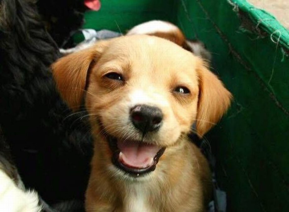 Amazing pictures of the cutest animals you have ever seen! Enjoy!