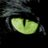 SusanLo95860879's profile image