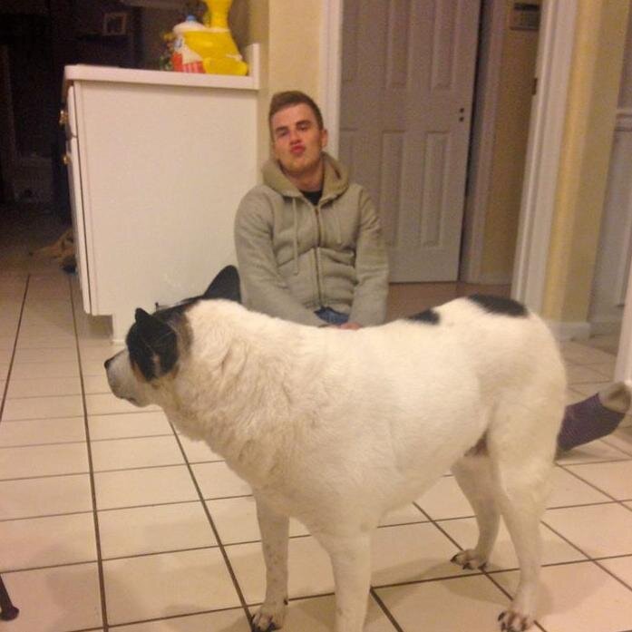 Buffalo buffalo Buffalo buffalo buffalo buffalo Buffalo buffalo