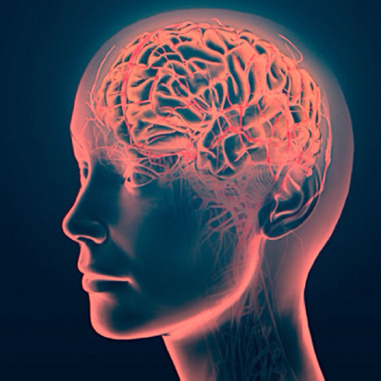 We have beautiful brains. Use them.