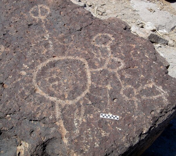 whyspering's profile picture. Reinventing the way we play with data because it is at play where we learn the most useful lessons.