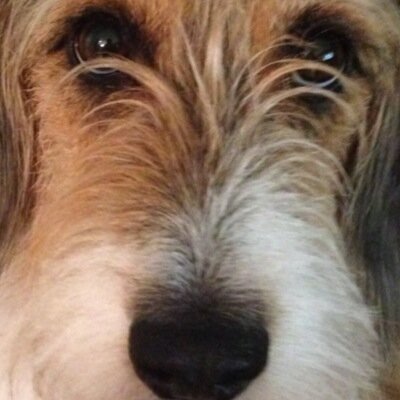 YMCMBxxkushxx's profile picture. Umm swag