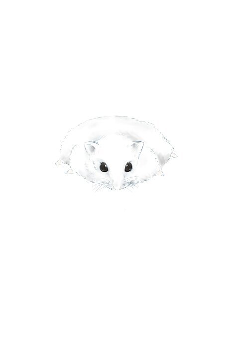 やりたいゲーム、演奏したい曲多すぎて忙しいけど日々楽しんでるクラリネット吹き。