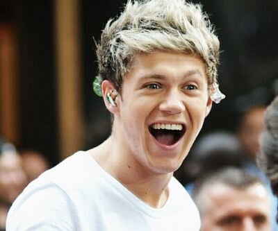 Niall James Horan is hotter than the bottom of my laptop ;) All I want is a follow from him