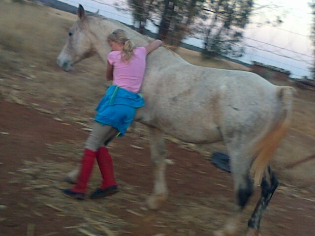 Chantelle_03527's profile picture. I love my horse Samurai ! Love Live ! RUNNER ! Love my friends and family !