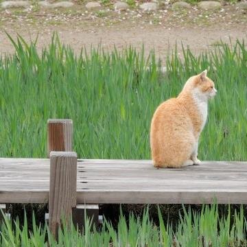 歌手や俳優さんの事など、芸能関係の情報を発信していきます！ただいま、自動で１万フォロアーと毎月１万円の副収入が手に入る無料のツイッターツールをプレゼント中！下記URLをクリック♪