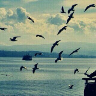 999x1001's profile picture. coping beautifully