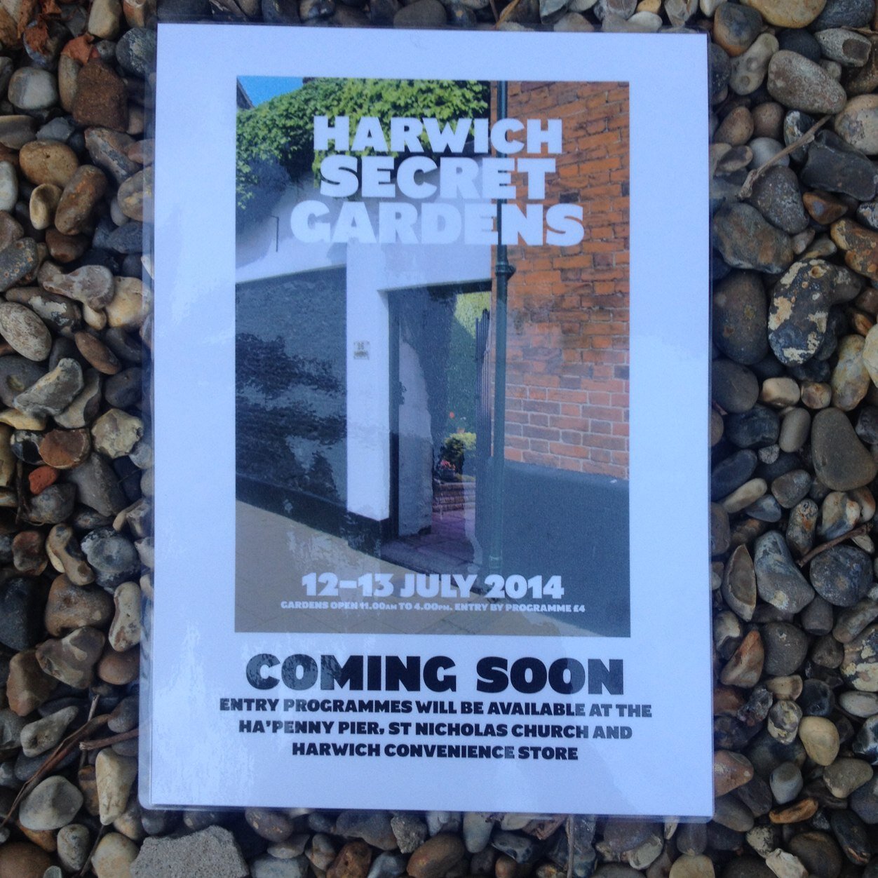 HarwichS's profile picture. 