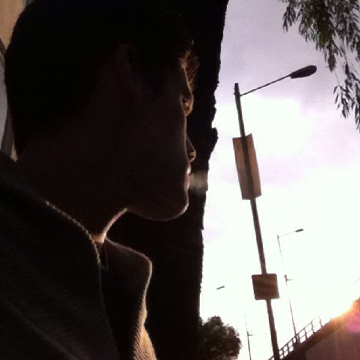 SebastianAvante's profile picture. Assistant to the Regional Manager.