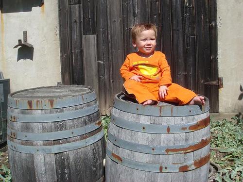 BradyCellars's profile picture. Winemaking + beer drinking + trail running/ultramarathoning = fun