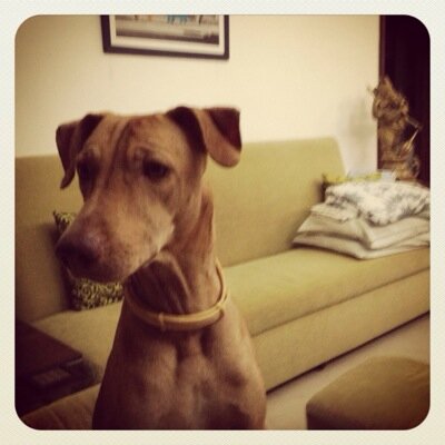 archanatrasy's profile picture. Media & Live Entertainment