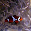 Rob Page III - @RobPageIII - Twitter