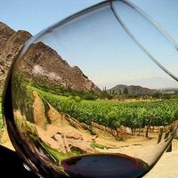 Ruta Del Vino BC Mex (@rutadelvinobcmx) 's Twitter Profile