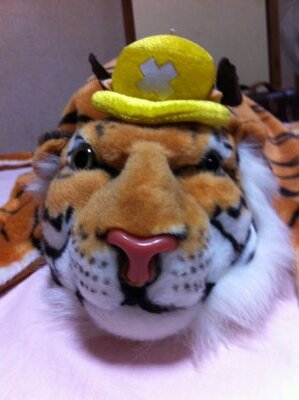 acht__88mm's profile picture. ゲーム大好き。アーケード、音ゲー、オンゲー、最近はpcでpso2の4鯖でやってたり。