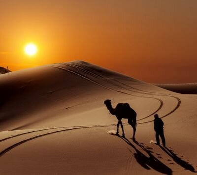‏علي . عمري 21