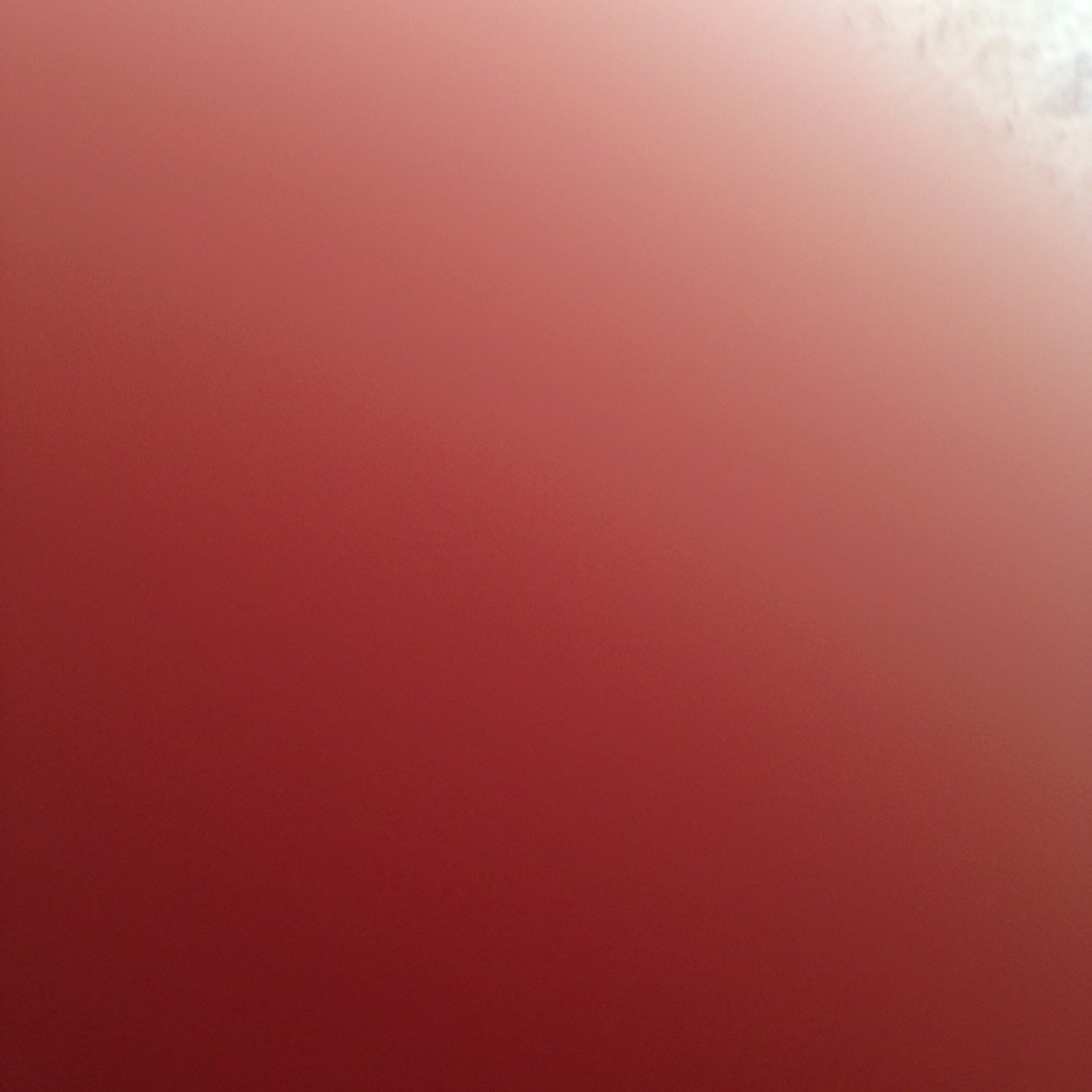 tripspmc's profile picture. 