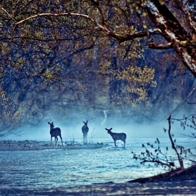 WebExplorer's profile picture. The Web Explorer will bring in the same place all kind of photos, facts, ideas, landscapes, jokes and much more than that! Follow us and you will be amazed.